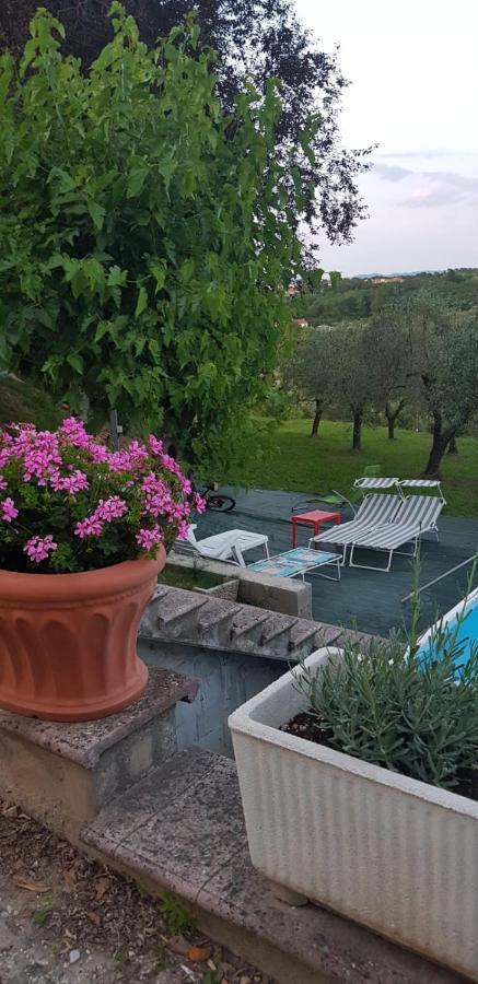 Il Fienile Villa Santa Maria a Monte Esterno foto